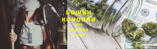 крисы Нея