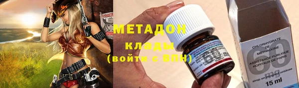 прущие грибы Апатиты