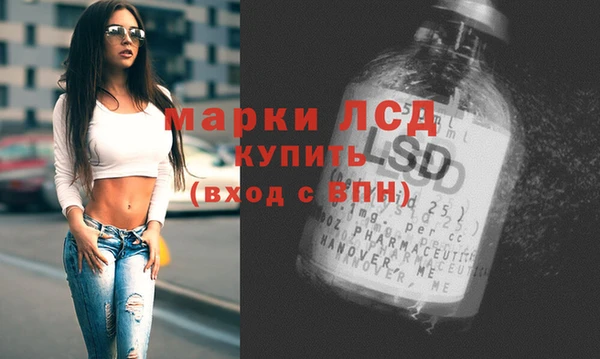 таблы Новодвинск