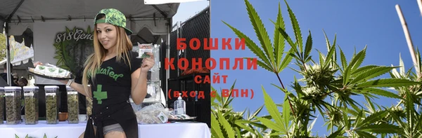 крисы Нея