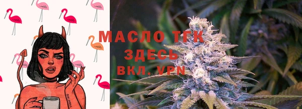 крисы Нея